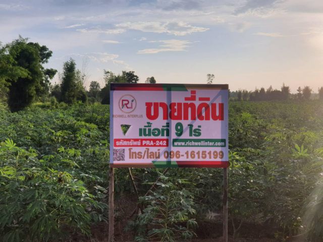 ขายที่ดิน 9 ไร่ หลังนิคมโรจนะปราจีน ใกล้ถนน 304 - 7 กม. จ.ปราจีนบุรี