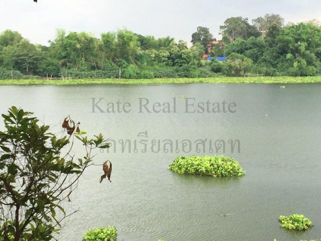 ขายที่ดินสวยอำเภอพิบูลมังสาหาร จังหวัดอุบลราชธานีเจ้าของ] ติดแม่น้ำมูลทั้งผืน