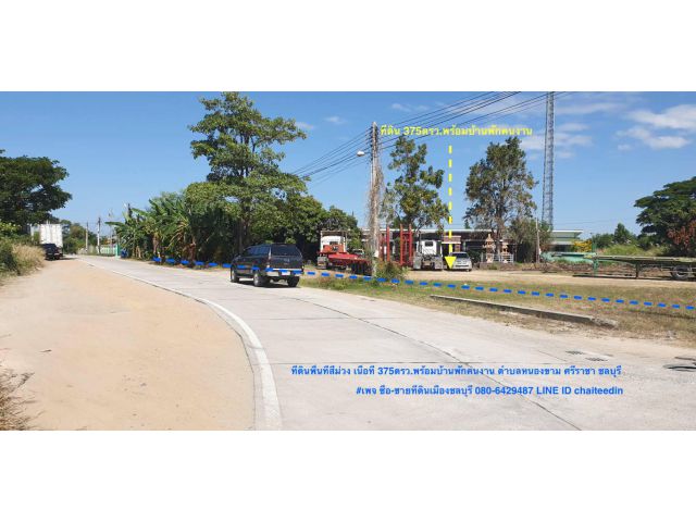 ###ขายที่ดินหนองขาม ศรีราชา ชลบุรี เนื้อที่ 375ตร.ว พื้นที่สีม่วง###