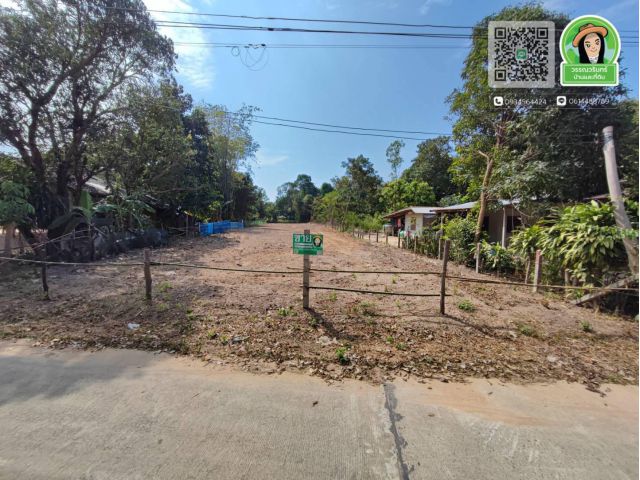 ที่ดินเปล่าบ้านทุ่งมั่ง หนองขอน