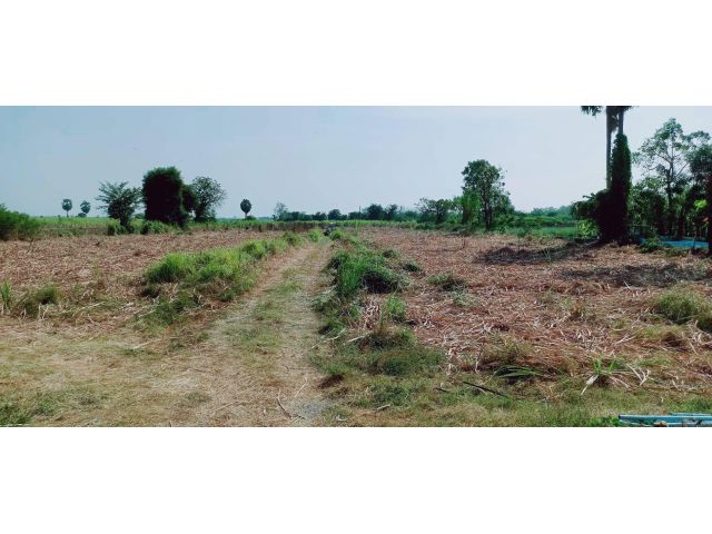 ขายที่ดินวิวเขาสวย ติดถนนทางหลวงชนบททำเลดีมีศักยภาพ เหมาะแบ่งแปลง,สร้างบ้านขาย,รีสอร์ท,กิจการร้านค้า (ครุฑแดงพร้อมโอน)