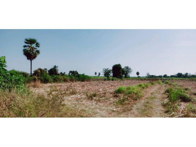 ขายที่ดินวิวเขาสวย ติดถนนทางหลวงชนบททำเลดีมีศักยภาพ เหมาะแบ่งแปลง,สร้างบ้านขาย,รีสอร์ท,กิจการร้านค้า (ครุฑแดงพร้อมโอน)