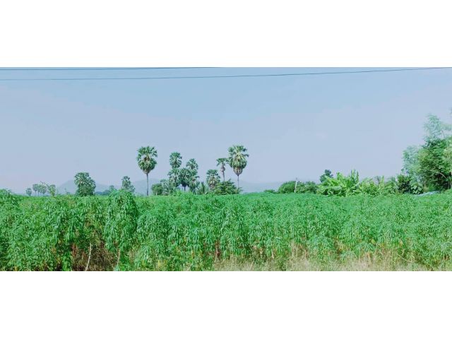 ขายที่ดินวิวเขาสวย ติดถนนทางหลวงชนบททำเลดีมีศักยภาพ เหมาะแบ่งแปลง,สร้างบ้านขาย,รีสอร์ท,กิจการร้านค้า (ครุฑแดงพร้อมโอน)