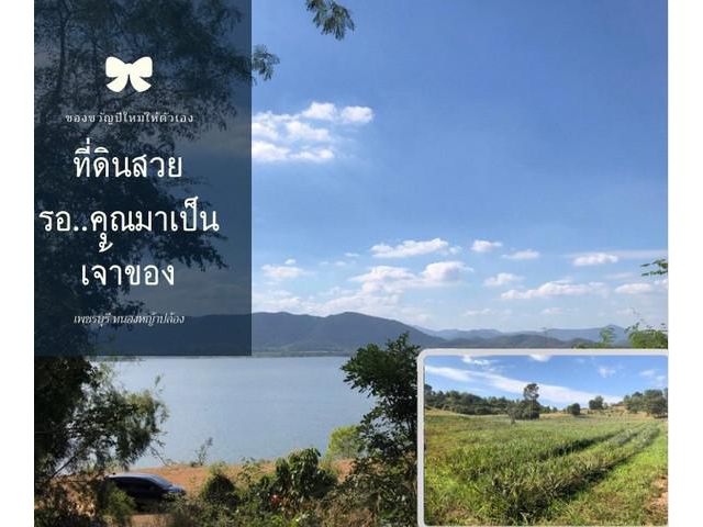 แบ่งขายที่ดินเพชรบุรี หนองหญ้าปล้อง ราคาถูก