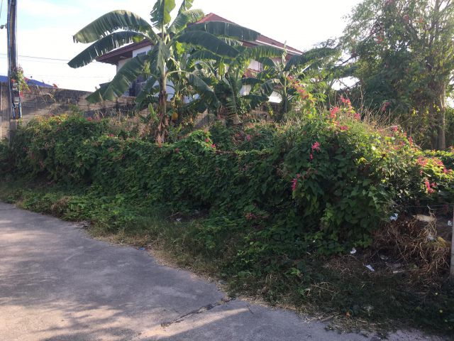 ขายที่ดินถมแล้ว ในตัวเมืองบ้านสวน ซอยบ้านสวนพงษ์ประเสริฐ6(ชลบุรี)