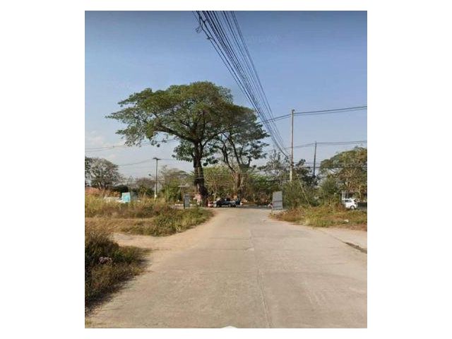 R7ที่ดินสวยขายต่ำกว่าราคาตลาดแบ่งซื้อได้ ถมแล้ว