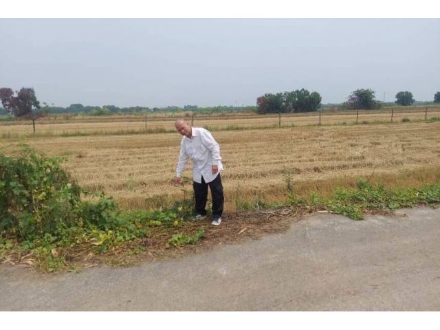 ขายด่วน!!!ที่ดินจัดสรรสำเร็จรูป คลองสี่,​ คลองหลวง​ ปทุมธานี​