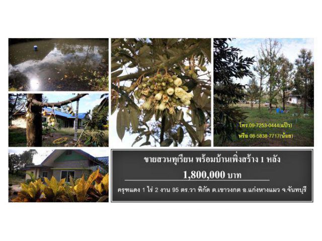 #ขายด่วน #สวนทุเรียนโต #บ้าน1หลัง #โฉนด 1 ไร่เศษ #พิกัด ต.เขาวงกต #แก่งหางแมว #จันทบุรี