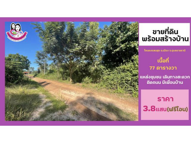 ที่ดินเปล่าพร้อมสร้างบ้าน บ้านดงแสนสุข  เนื้อที่ 77ตารางวา หน้ากว้าง13เมตร