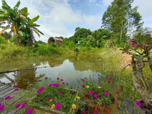 ขายที่ดินศรีมหาโพธิ์ 10. 5 ไร่ ใกล้ถนนเส้น 3070 - 650 เมตร จ. ปราจีนบุรี