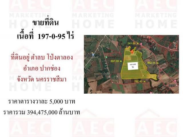 ขายที่ดิน เขาใหญ่ ต.โป่งตาลอง อ.ปากช่อง โคราช