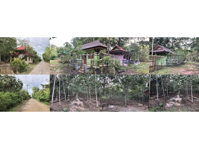 บ้าน4หลังพร้อมสวนยางโฉนด 16-0-74 ไร่