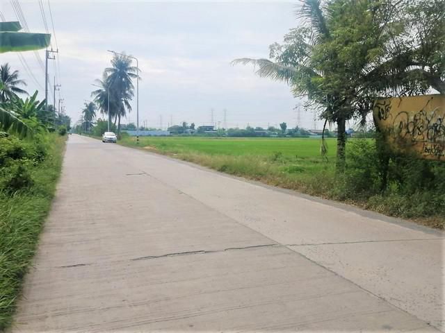 ขายที่ดิน 50-2-56 ไร่ คลอง8 ลำลูกกา ปทุมธานี