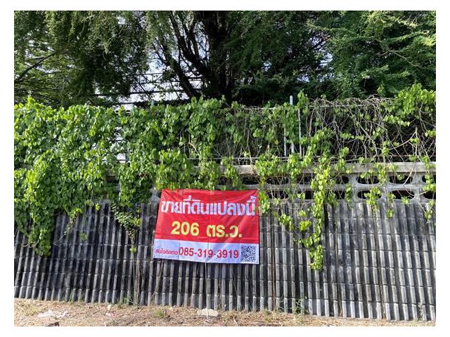 ขายที่ดินเปล่าแปลงมุม สวย หมู่บ้านเมืองทอง 2/2(ซอย13) ซอยพัฒนาการ 61 ขนาด 206 ตรว ทำเลดี เหมาะสร้างบ้าน ออฟฟิศ