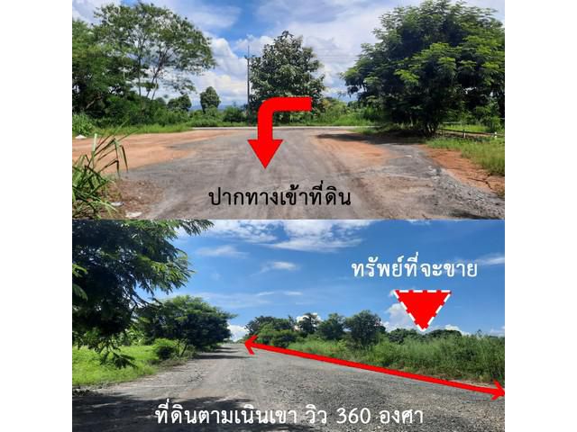 ขายที่ดินแม่แตงไร่ละ 550000 โฉนด นส.4 จ