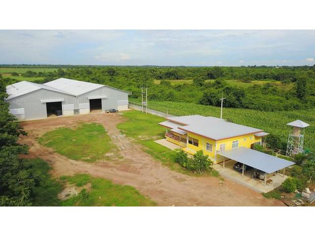 ขายโรงงานพร้อมผู้เช่า กบินทร์ ปราจีนบุรี
