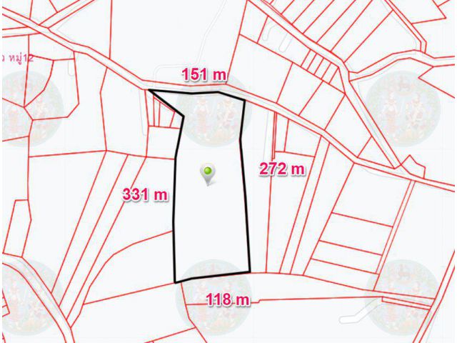 ขายที่ดินหนองแหน 20 ไร่ ติดถนนคอนกรีตใกล้ถนน 331 - 3 กม. อ.พนมสารคาม จ.ฉะเชิงเทรา