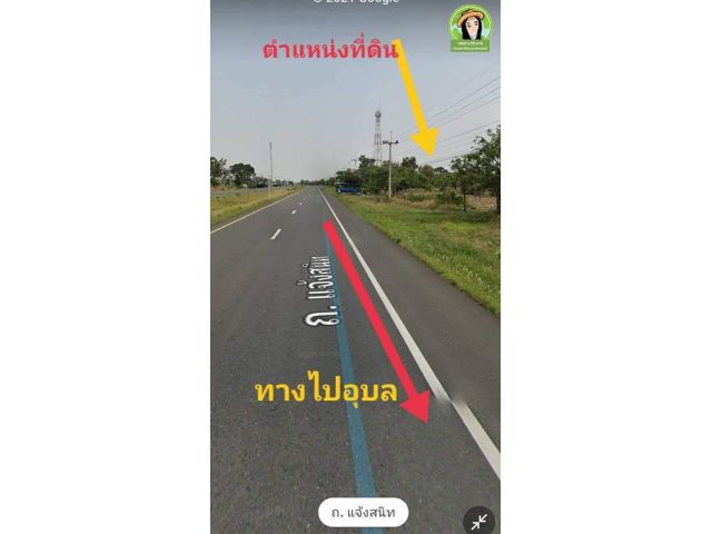 ที่ดินติดถนนแจ้งสนิท 8 ไร่ ยกแปลง 3.5 ล้าน  บ้านยางขี้นก/เขื่องใน