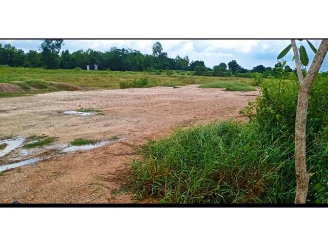 ขายด่วนที่ดิน ทำเลทอง ที่สุพรรณบุรี