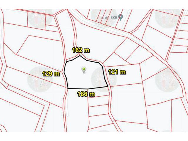 ขายที่ดินสวนยางพนมสารคาม 14 ไร่ ติดถ.สาธารณะ 3 ด้านใกล้ถนน 331 - 910 เมตร