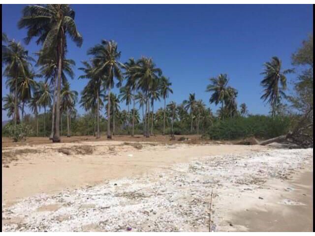 ขายที่ดินติดทะเล จ.ประจวบ