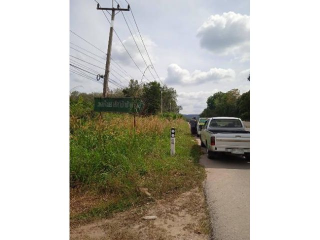 ที่ดินเชิงพานิช