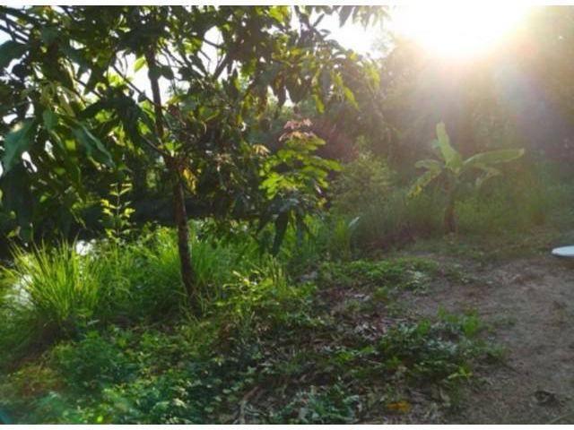 ที่ดินทำเลทอง อยู่ติดถนนเส้นรอบเมืองหนองบัวลำภู