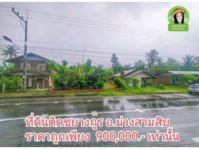 ขายที่ดินติดชยางกูร/อ.ม่วงสามสิบ  เพียง  900,000 บาท
