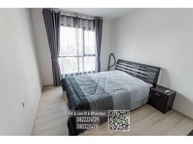ให้เช่าคอนโด  Life Sukhumvit 48  ขนาด 33 ตรม