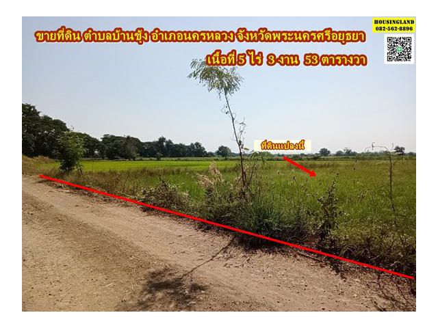 ขายที่ดิน ตำบลบ้านชุ้ง อำเภอนครหลวง จังหวัดพระนครศรีอยุธยา
