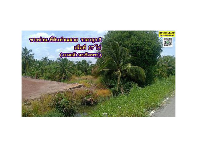 ขายที่ดิน บางคล้า ฉะเชิงเทรา