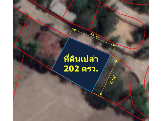 ขายที่ดินเปล่า 202 ตรว. ถมแล้ว บ้านถวาย ต.หนองแก๋ว อ.หางดง