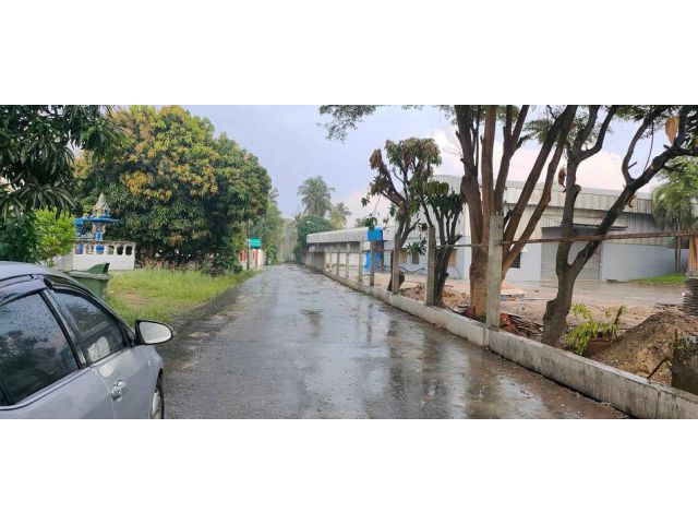 ขายที่ดิน51.3.40 ไร่ บ้านหนองแขวะ ต.บึง อ.ศรีราชา  ชลบุรี