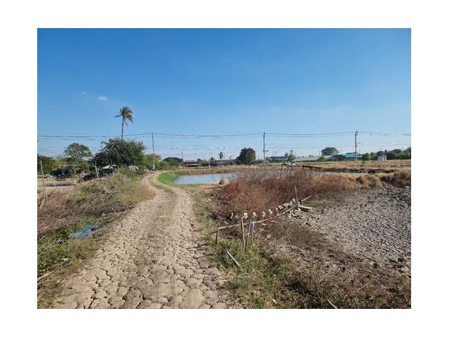 sss282  ขายที่ดิน คลองนิยมยาตรา บางบ่อ