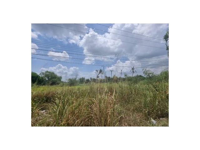 sss041ขาย ที่ดินพนัสนิคม ติดถนน 331