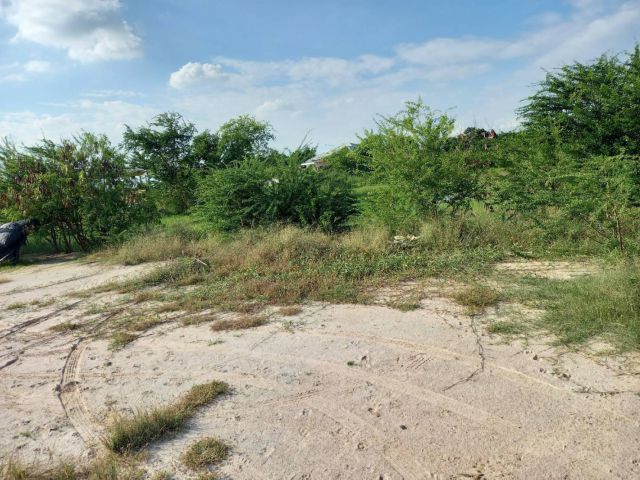 ขายที่ดินบางปะกง 100 ตรว. ยกแปลง 600, 000 บาท ใกล้ถ. สุขุมวิท 3 - 700 เมตร จ. ฉะเชิงเทรา
