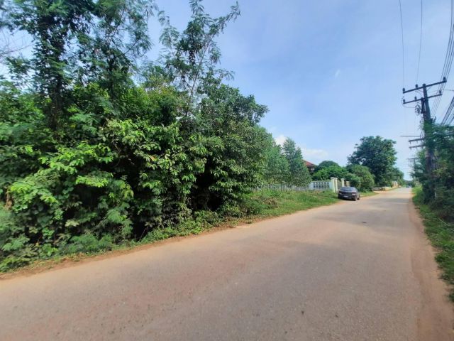 ขายที่ดินท่าถ่าน 398 ตรว. ติดถนนลาดยาง ใกล้สี่แยกพนมสารคาม - 900 เมตร อ.พนมสารคาม จ.ฉะเชิงเทรา