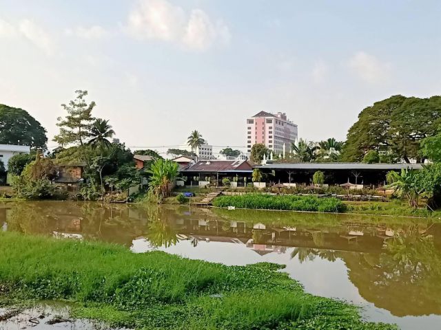 ที่ดินติดริมแม่น้ำปิง  3 ไร่ 3 งาน หายากแล้ว สวยๆแบบนี้