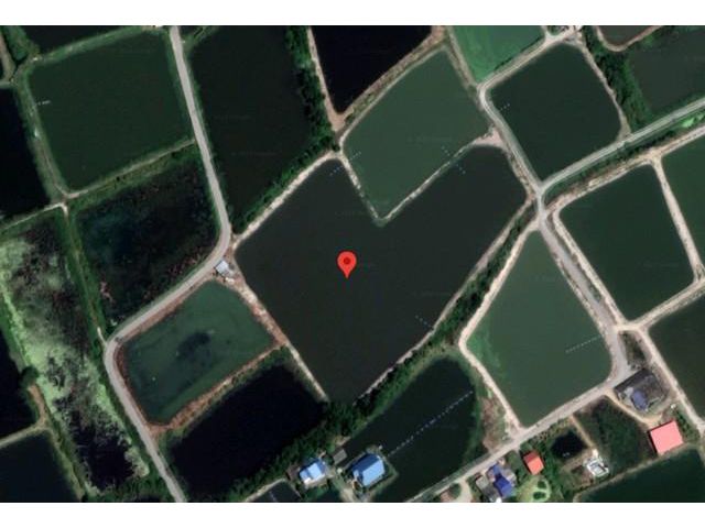 ขายที่ดินอมตะนคร2   พื้นที่สีม่วง พานทอง ชลบุรี