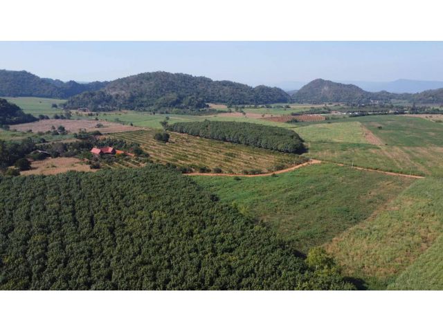ขายที่วิวเขา ที่สวนยาง 22 ไร่ ติดถนนสาธารณะ ขายถูกมาก ไร่ละ 800,000 คลองม่วง ปากช่อง แบ่งขายได้ 10ไร่ 087-907-4045
