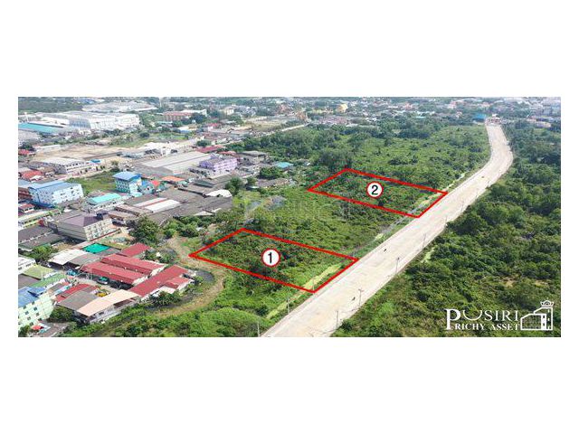 เปิดขาย ที่ดินติดถนนตัดใหม่ (4เลน) เอกชัย – เดิมบาง เริ่ม 4 ไร่ขึ้นไปใกล้เอกชัยเพียง 200 เมตร แวดล้อมด้วยความเจริญ