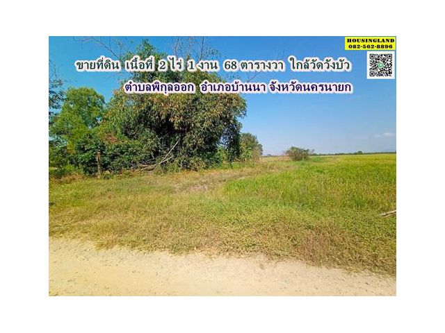 ขายที่ดินใกล้วัดวังบัว  ตำบลพิกุลออก  อำเภอบ้านนา จังหวัดนครนายก