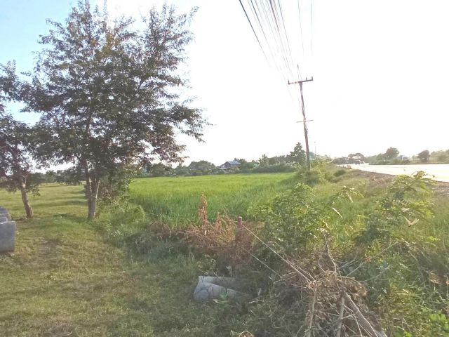 ขายที่ดิน 6-0-21ไร่ ติดถนนมิตรภาพ ใกล้ปั้ม ปตท.ดอนหวาย โนนสูง โคราช