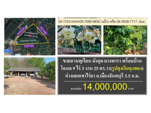 #ขายสวน #ทุเรียน #มังคุด #ยางพารา #บ้าน #โฉนด 9ไร่เศษ #ท่าใหม่ #จันทบุรี #ขาย 14 ล้านบาท #Durian #Thailand #榴蓮 #山竹