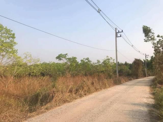 ขายที่ดินหนองแหน 5. 5 ไร่ ใกล้ถ. เส้น 331 - 400 เมตร อ. พนมสารคาม จ. ฉะเชิงเทรา