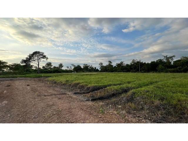 ขายที่ดินบ้านนา 1. 5 ไร่ ใกล้ถนนเส้นรังสิต-นครนายก(305) - 500 เมตร จ. นครนายก