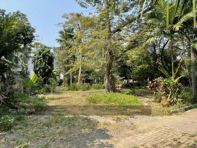 ที่ดิน แปลงสวย สุขุมวิท66/1 เนื้อที่ 1ไร่ 3งาน 6ตร.ว. ราคาพิเศษสุด 120 ล้าน