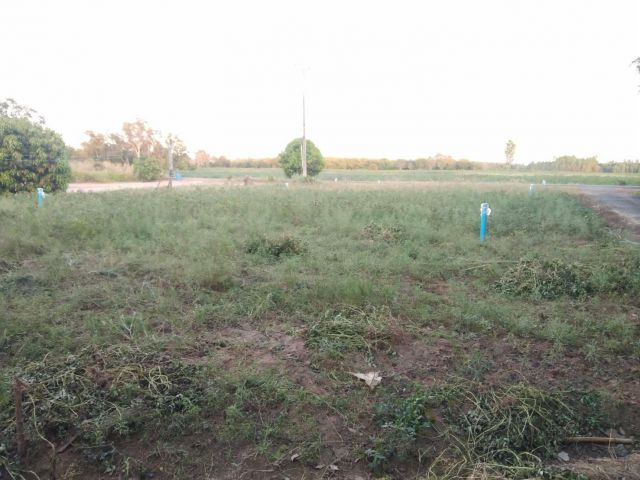 ที่ดินแบ่งขายเกาะขนุน 67. 7 ตรว. ติดถ. ซอยบ้านห้วยกล่ อ. พนมสารคาม จ. ฉะเชิงเทรา