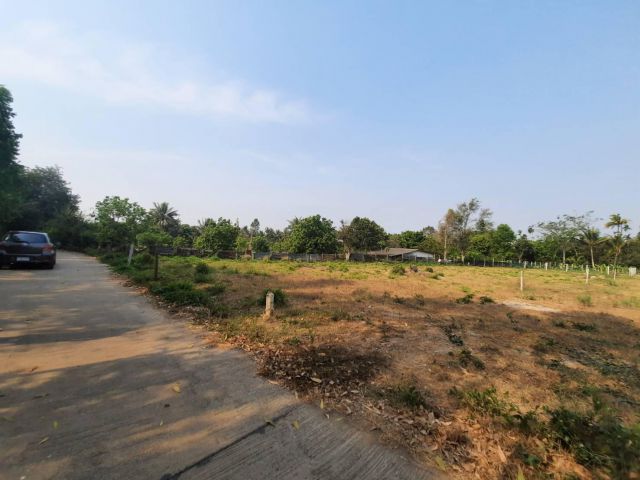 ที่ดินแบ่งขายหนองแหนถมแล้ว67ตรว.ราคาถูก อ.พนมสารคาม จ.ฉะเชิงเทรา