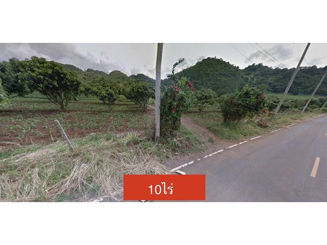 ที่ดินติดถนนลาดยางเขาวง เขาใหญ่ 10ไร่ สวนทุเรียน เงาะ มะม่วง วิวภูเขา ทำเลดีมาก